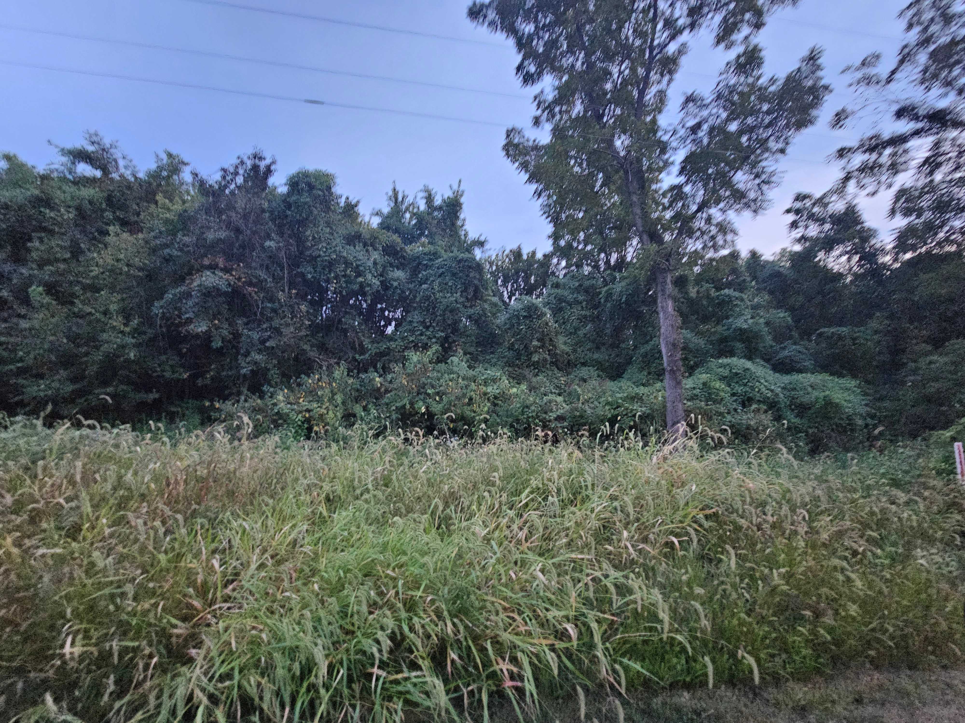 feature-image