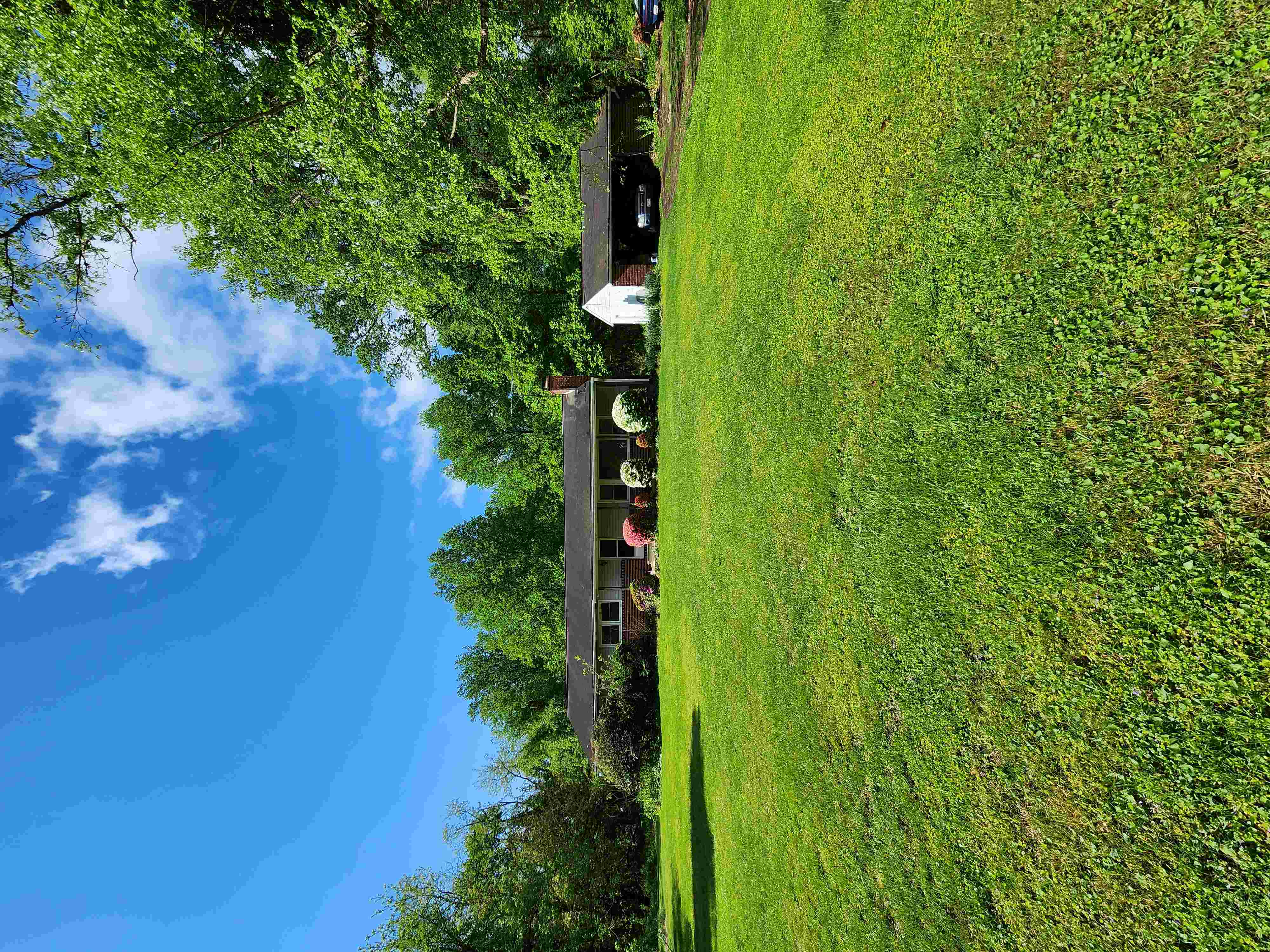 feature-image