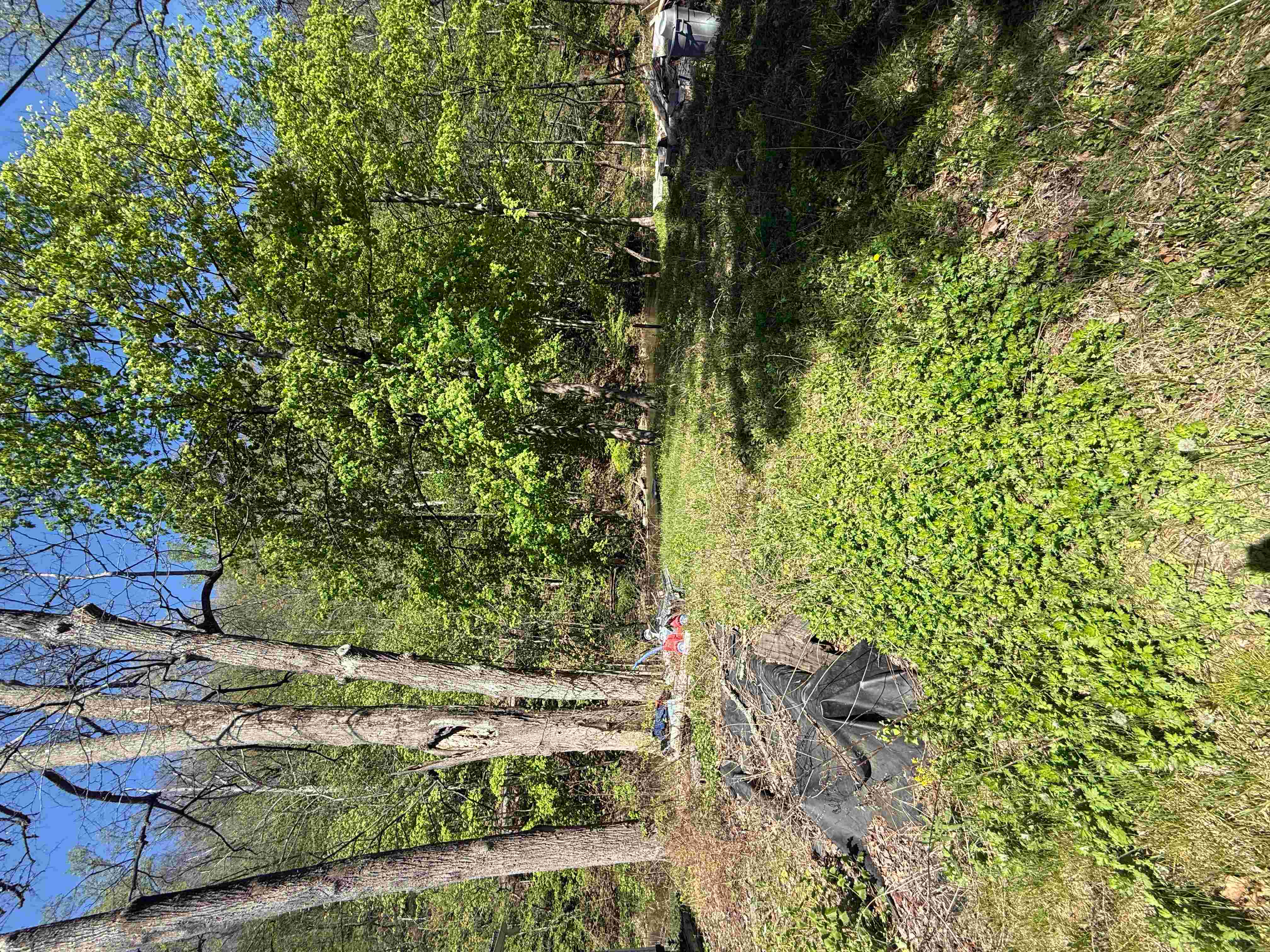 feature-image